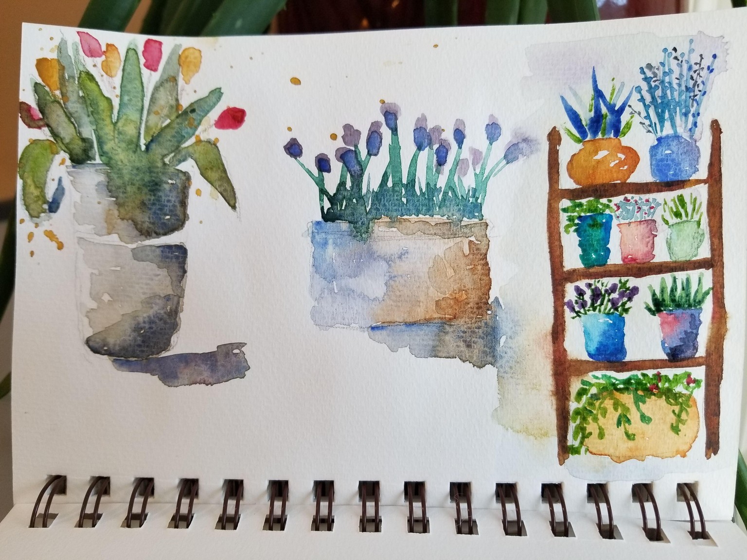 Flower & Window Warm-ups - image 1 - student project