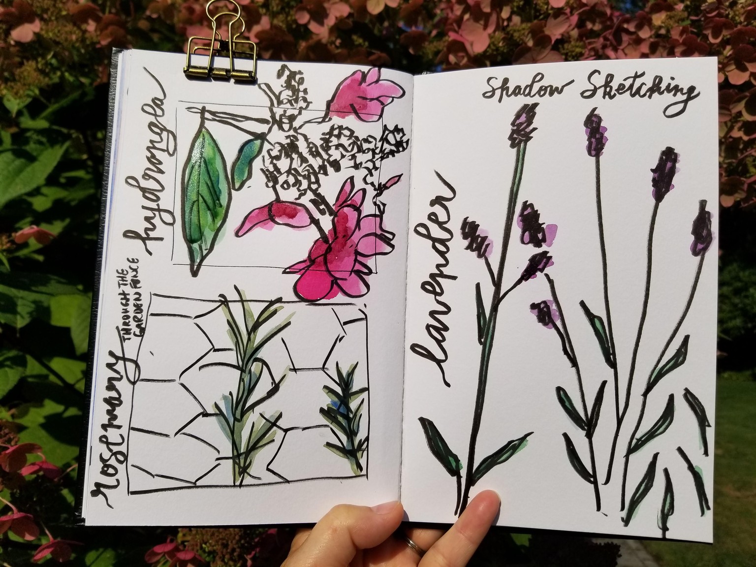Delightful Nature Journaling! - image 2 - student project