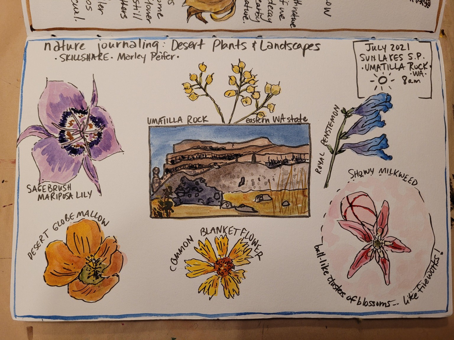 Desert scene & plants in Eastern WA! - image 1 - student project