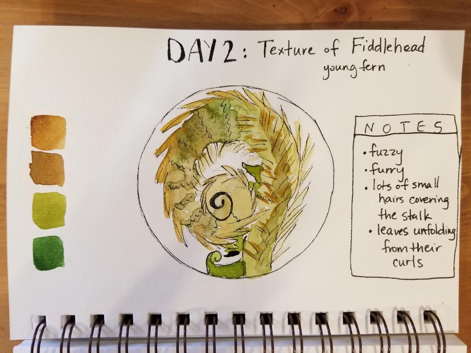 Nature Journaling Dream! - image 2 - student project