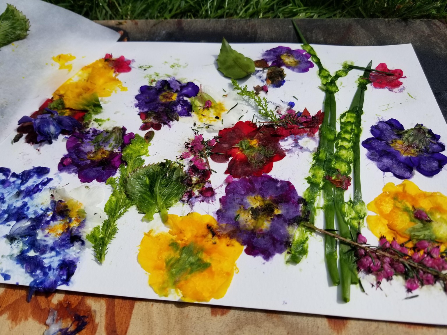 Spring fun in the sun! - image 4 - student project