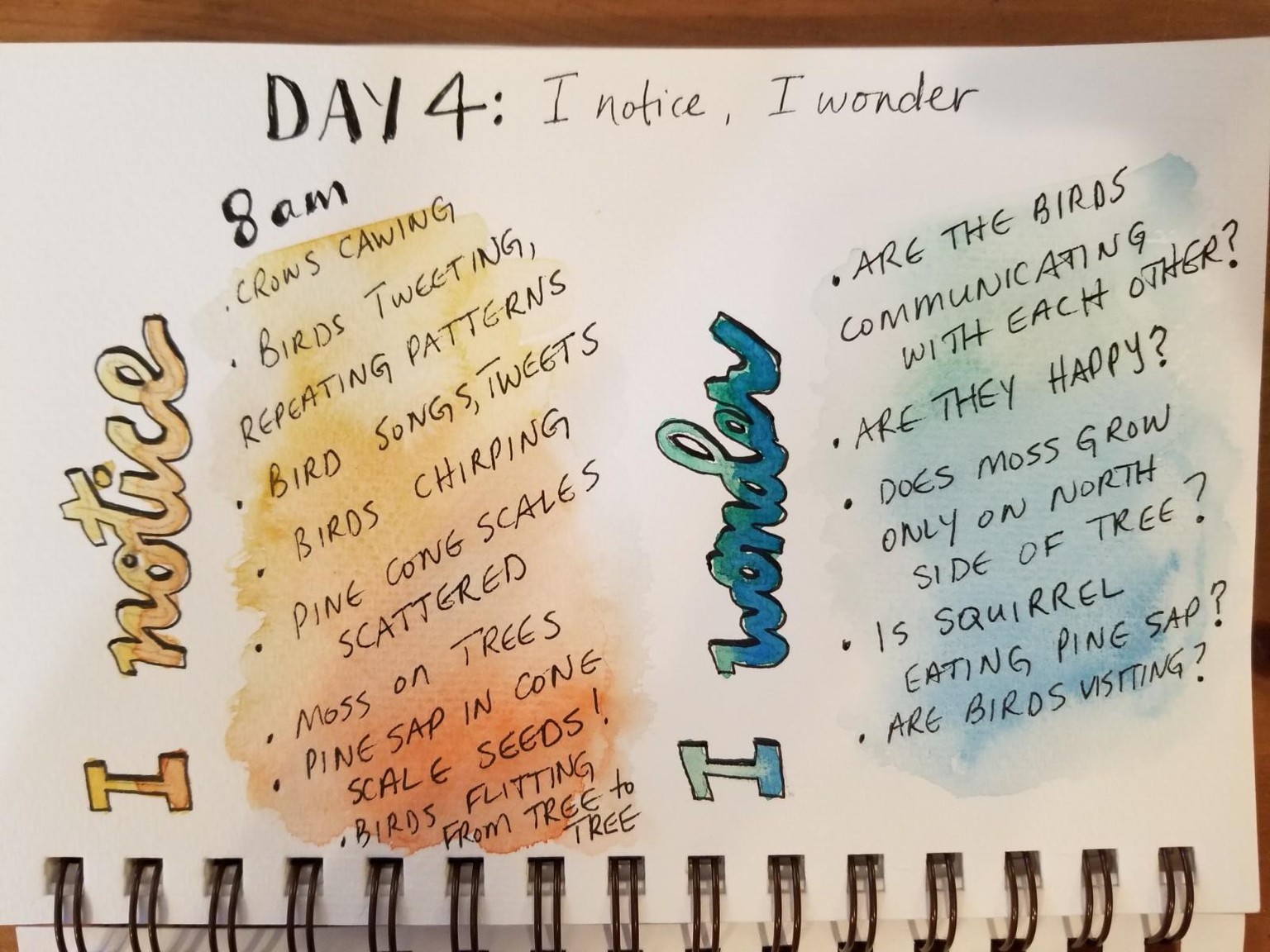 Nature Journaling Dream! - image 4 - student project