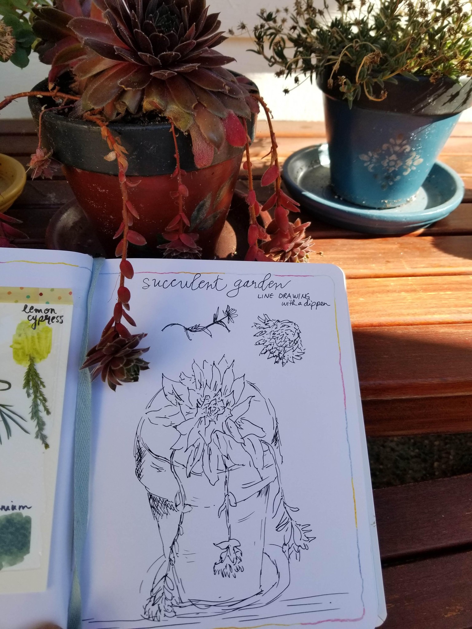 Delightful Nature Journaling! - image 1 - student project