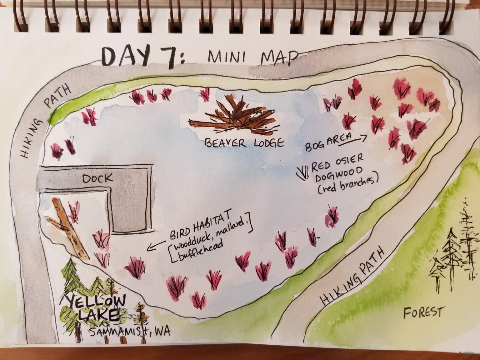 Nature Journaling Dream! - image 7 - student project
