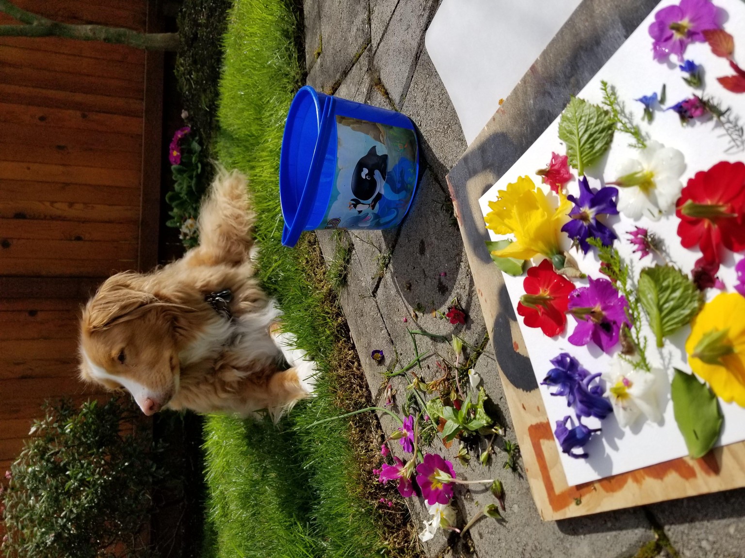 Spring fun in the sun! - image 2 - student project
