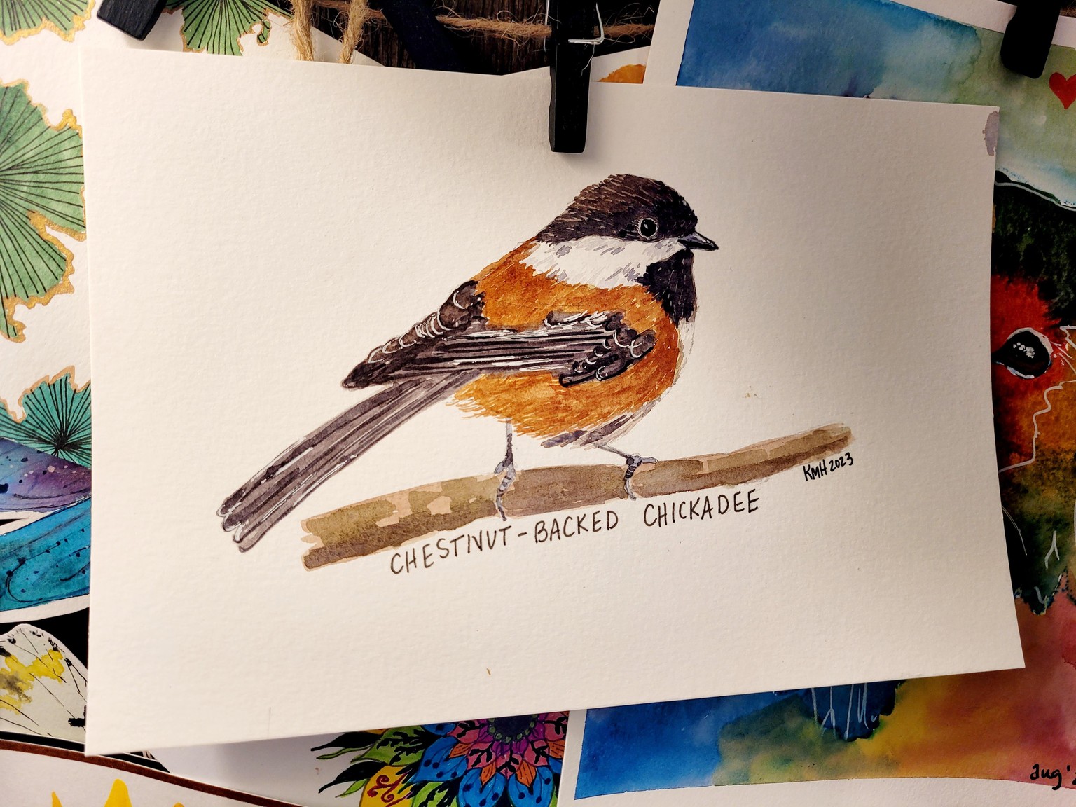 Enjoying backyard birds! - image 1 - student project
