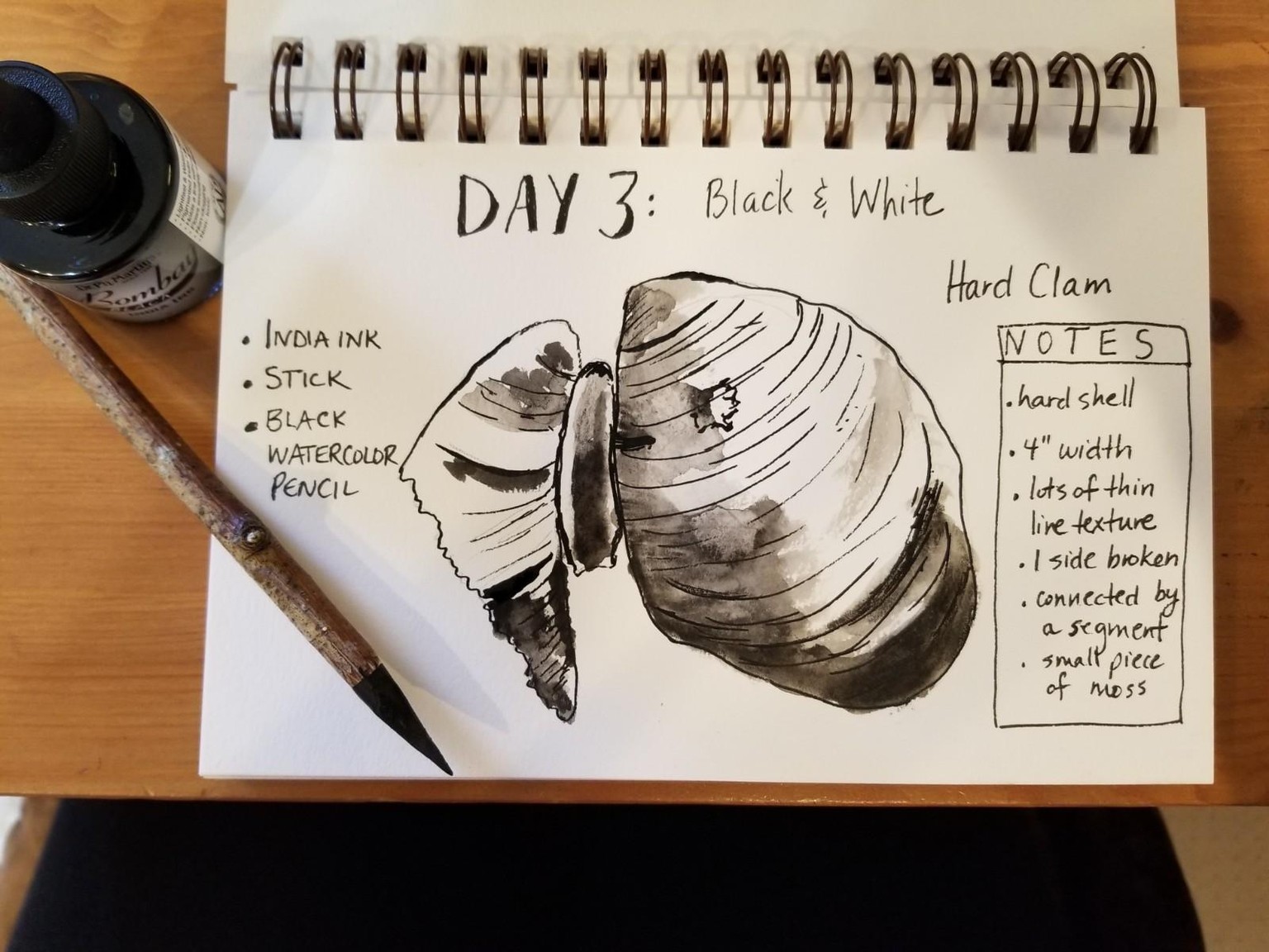 Nature Journaling Dream! - image 3 - student project