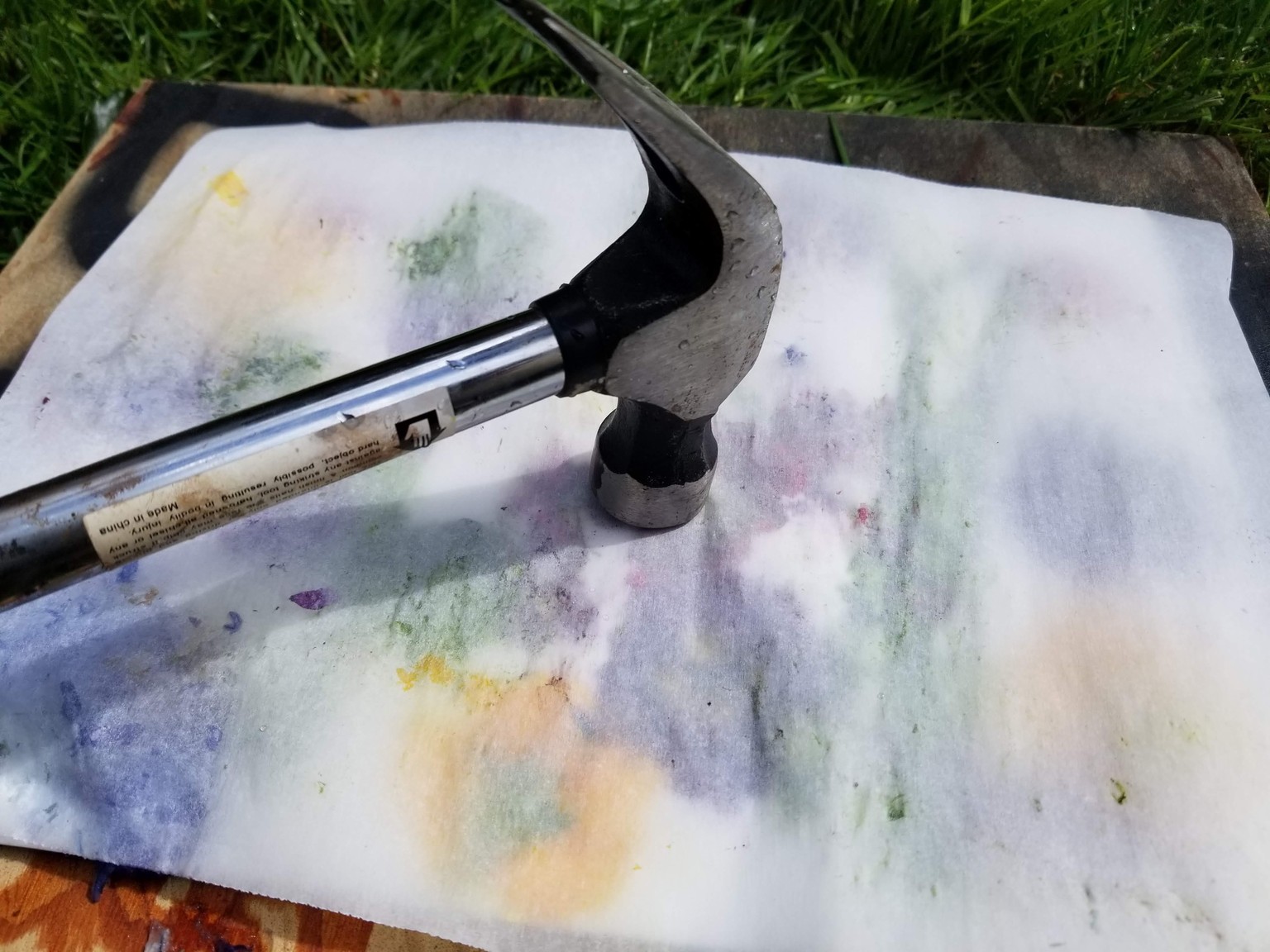 Spring fun in the sun! - image 3 - student project