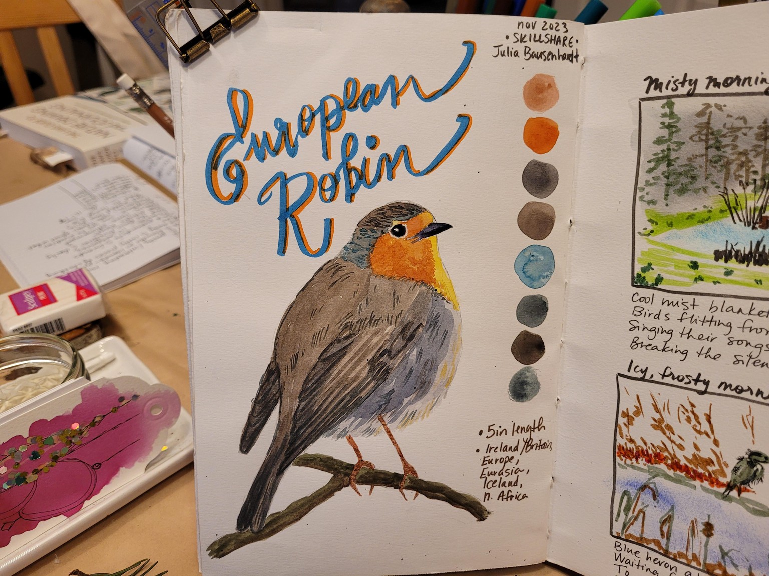 Enjoying backyard birds! - image 2 - student project