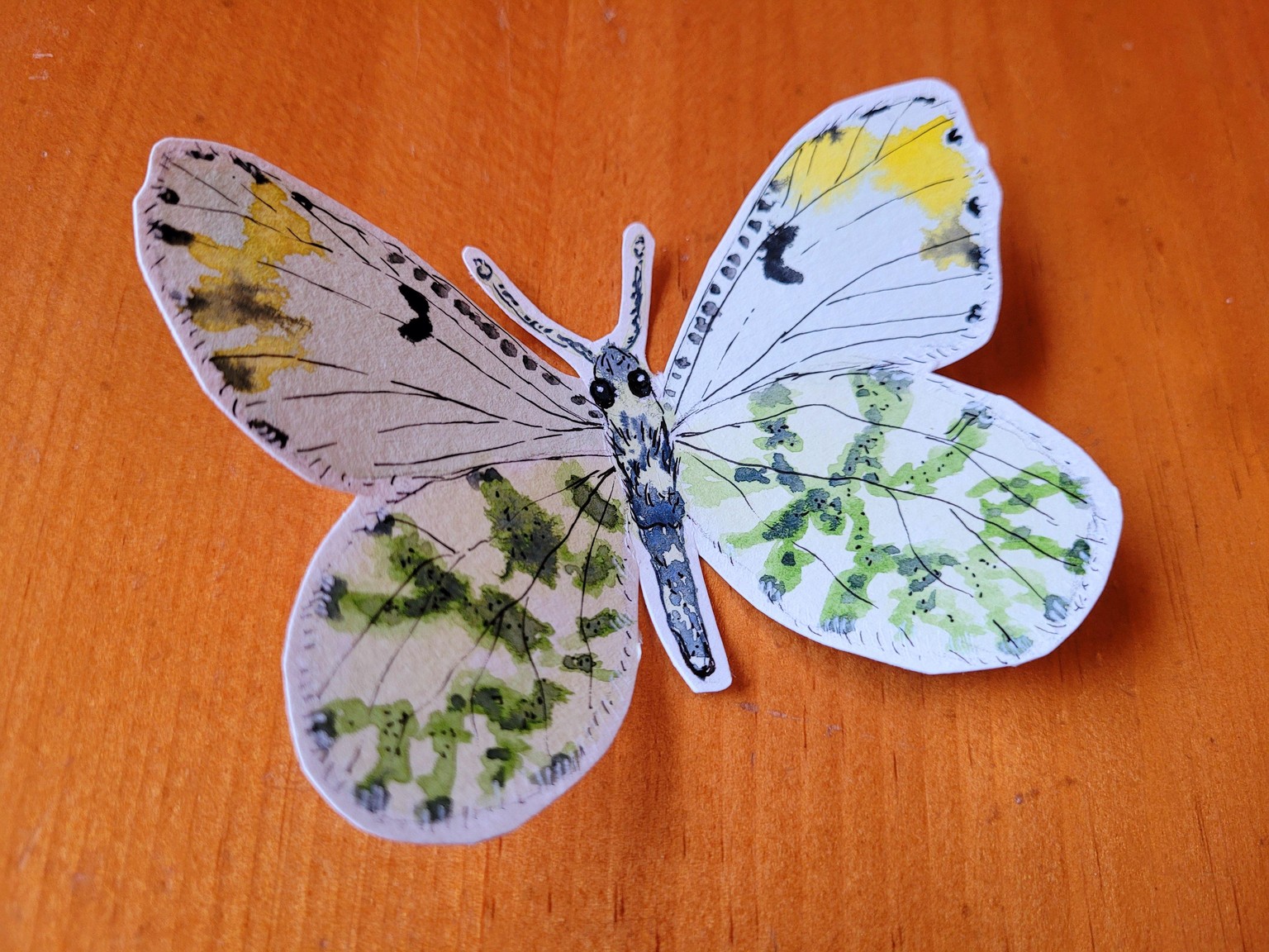 Chasing Butterflies - Spring has arrived! - image 1 - student project