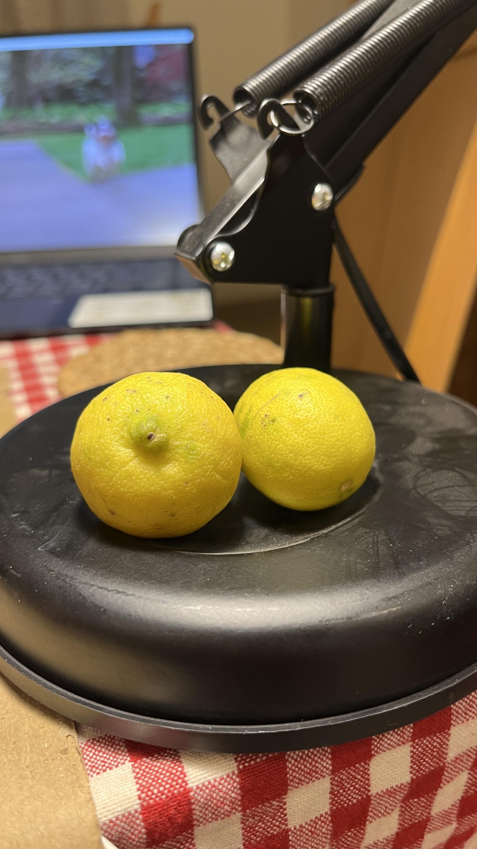 Lemons - image 1 - student project