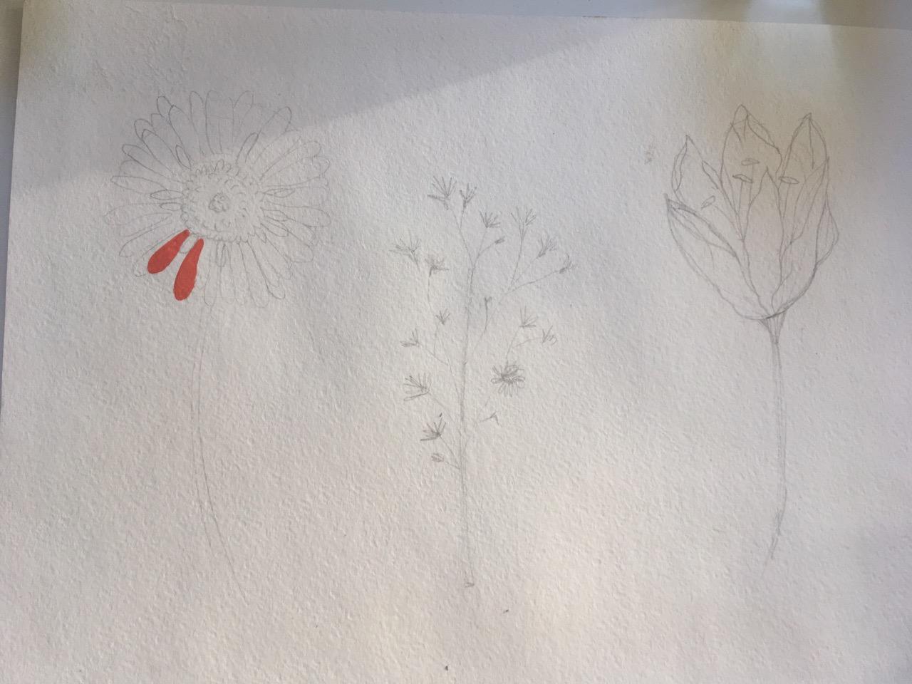 Gouache flowers - image 1 - student project