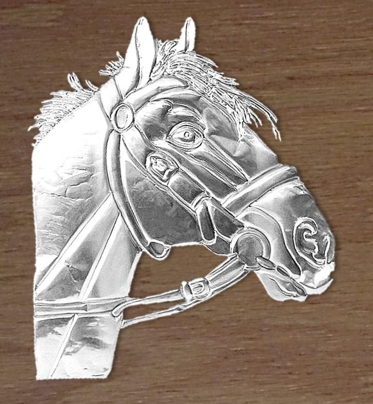Embossed - image 1 - student project