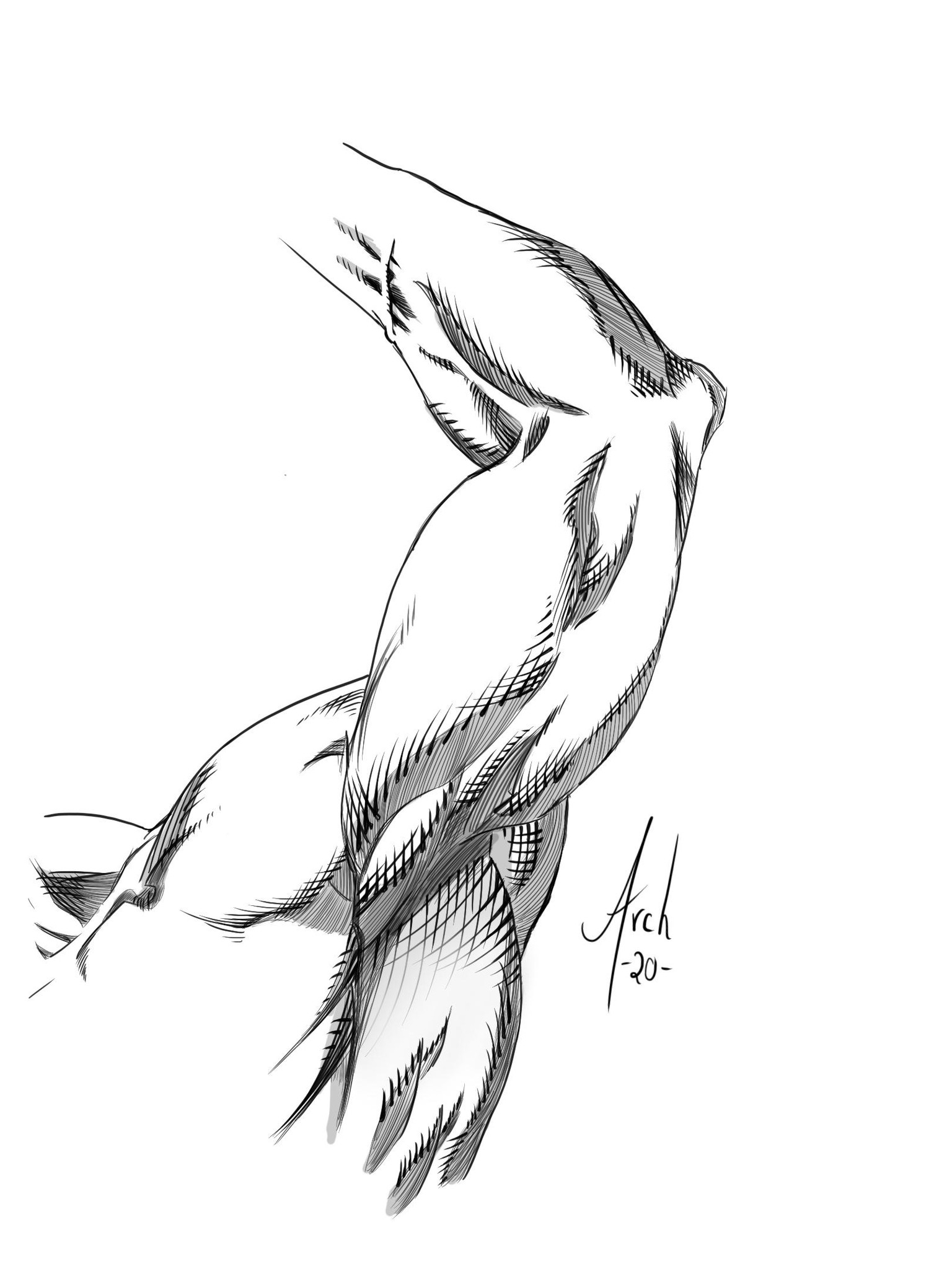 Arm Studies! - image 2 - student project