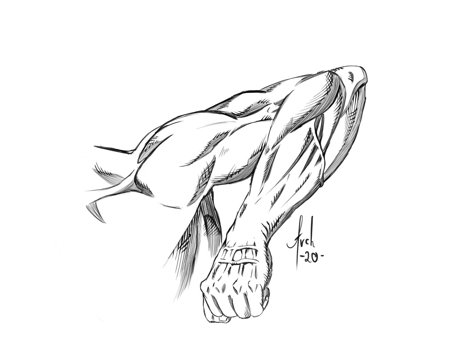 Arm Studies! - image 4 - student project