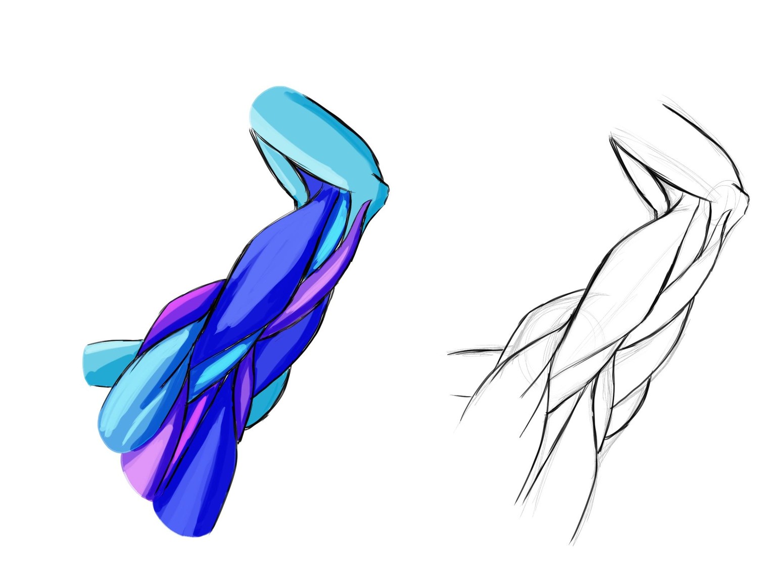 Arm Studies! - image 1 - student project