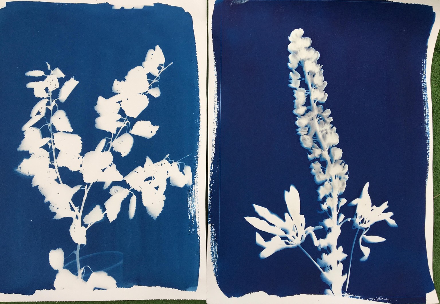 Lettering with cyanotype - image 1 - student project