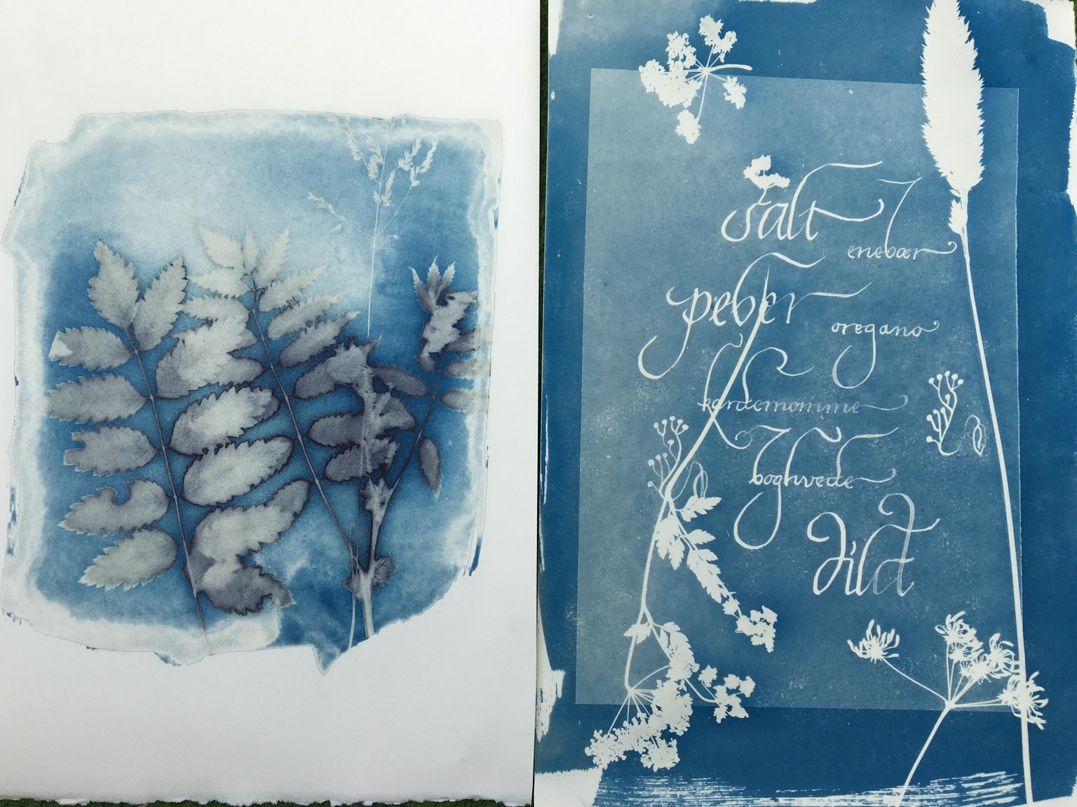 Lettering with cyanotype - image 3 - student project