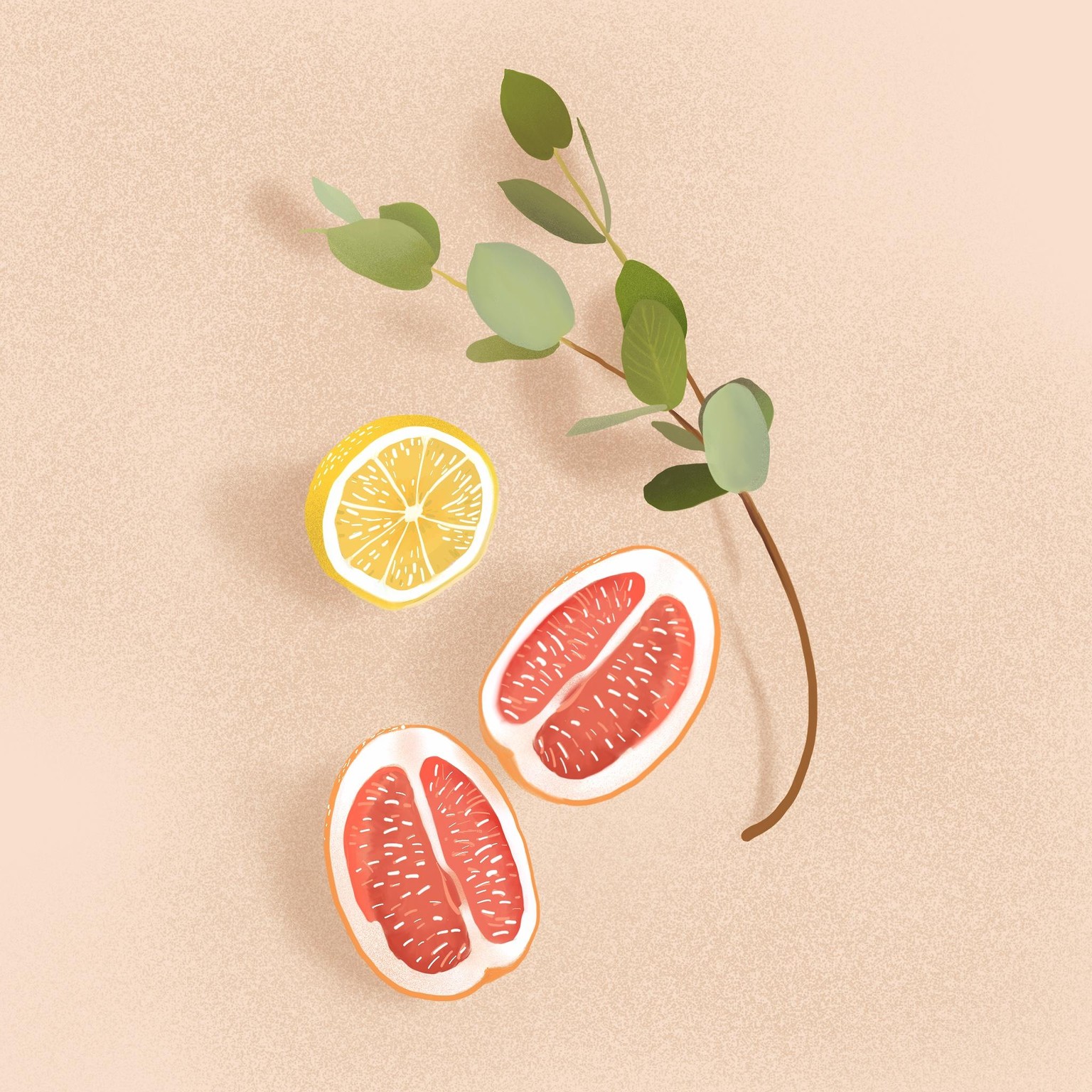 Citrussy - image 1 - student project