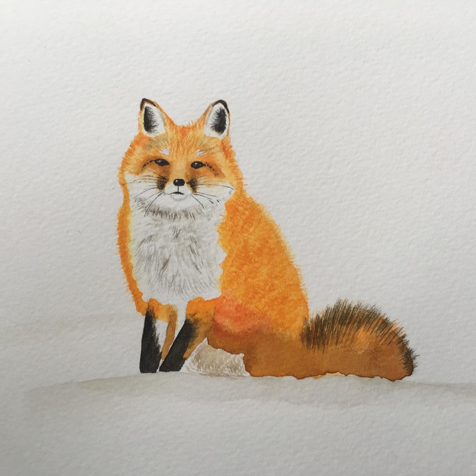 Fluffy Fox - image 1 - student project