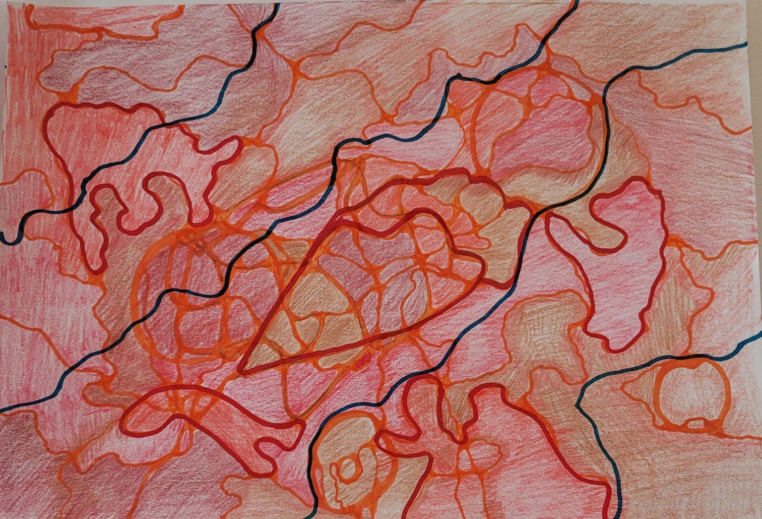 Getting to the heart of the matter! - image 1 - student project