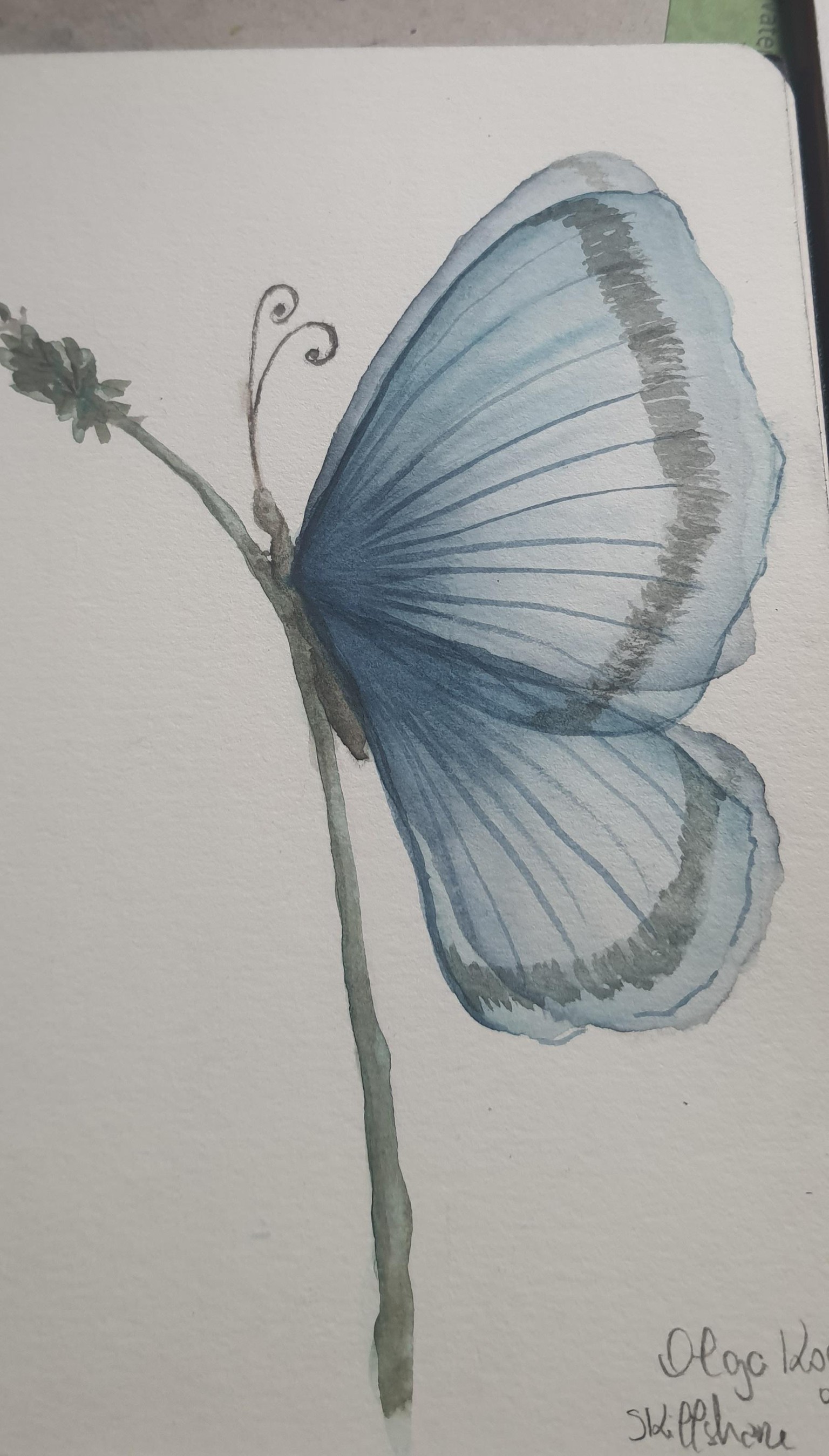 Different colours, different papers - image 1 - student project