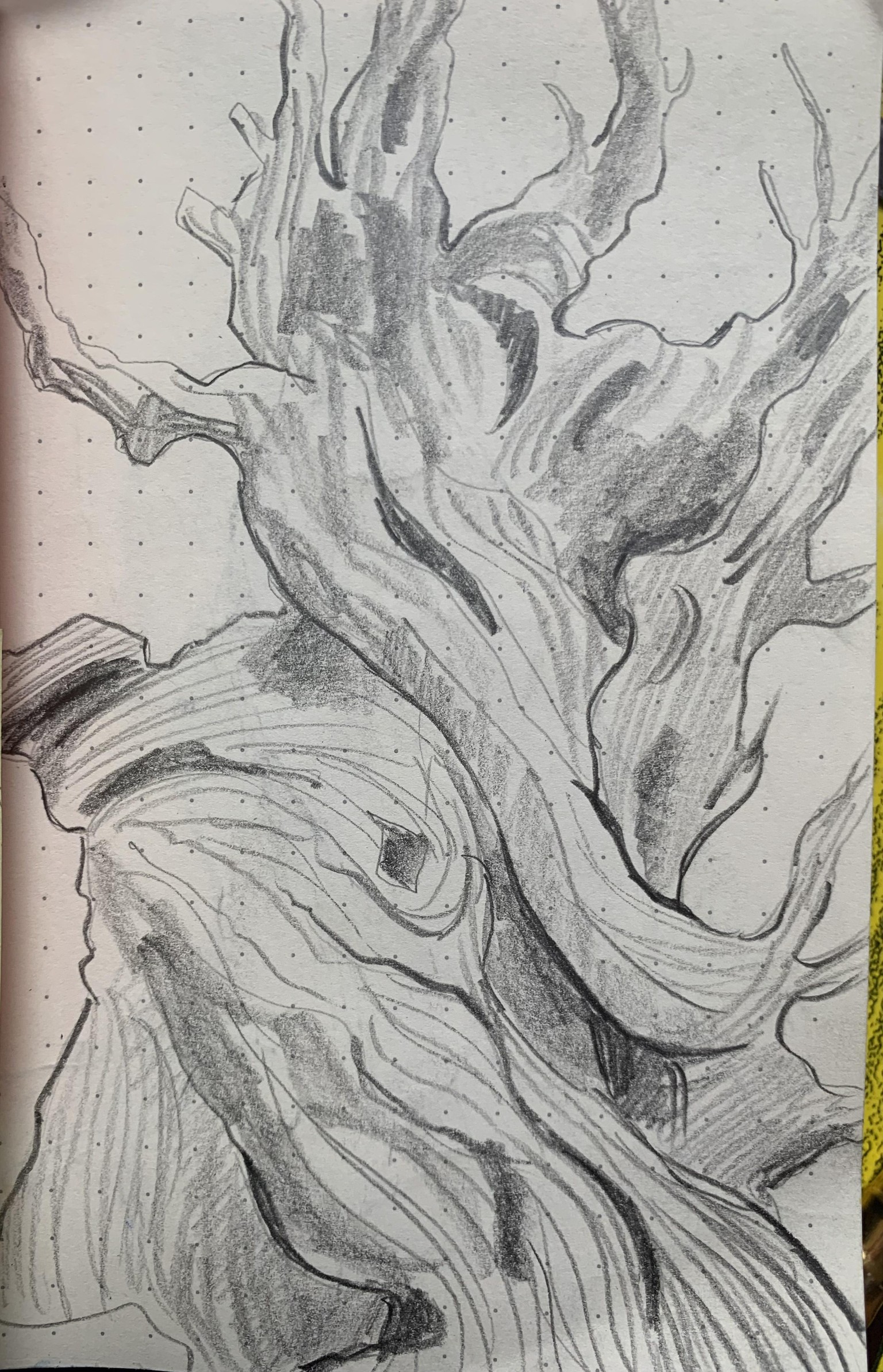 Trees & Rocks (study) - image 1 - student project