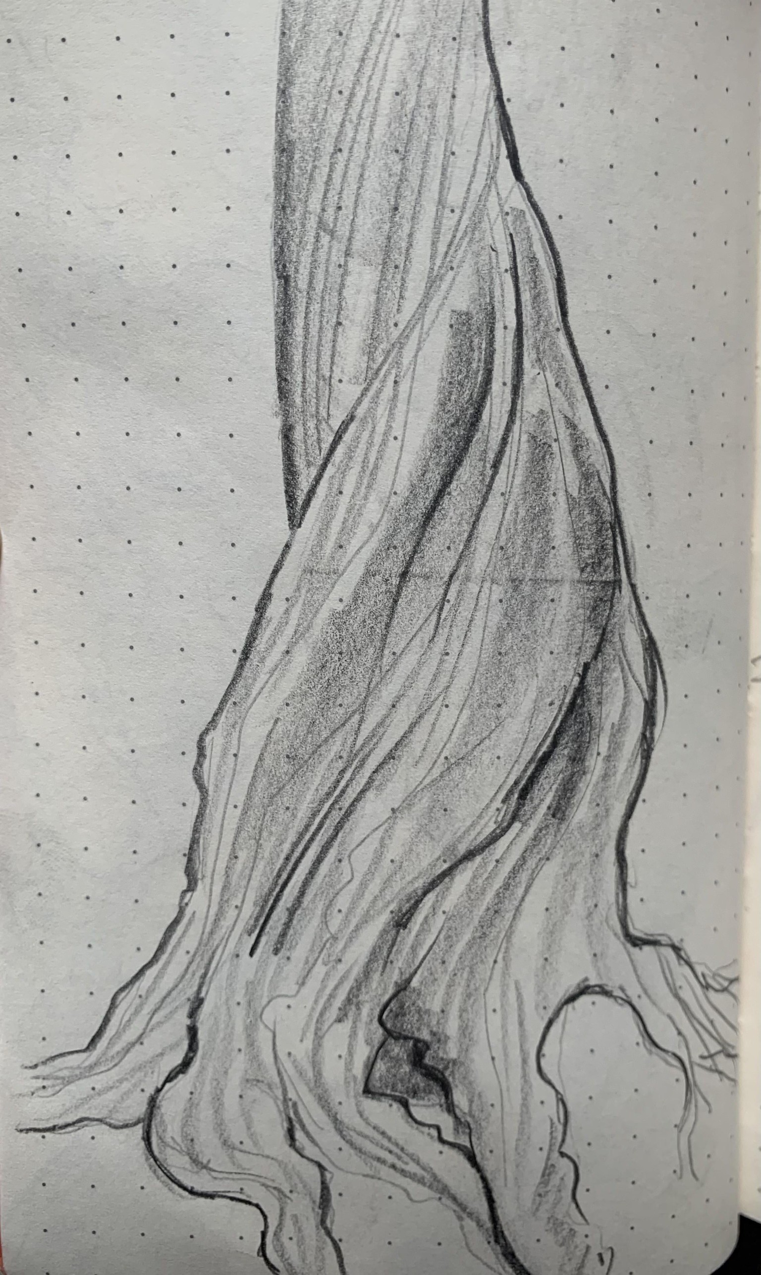 Trees & Rocks (study) - image 3 - student project