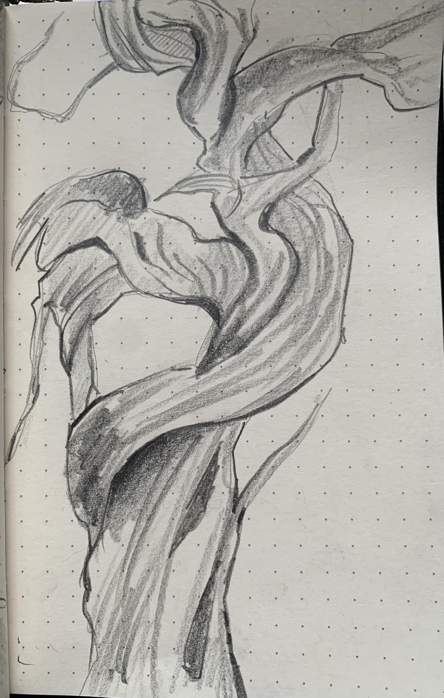 Trees & Rocks (study) - image 5 - student project