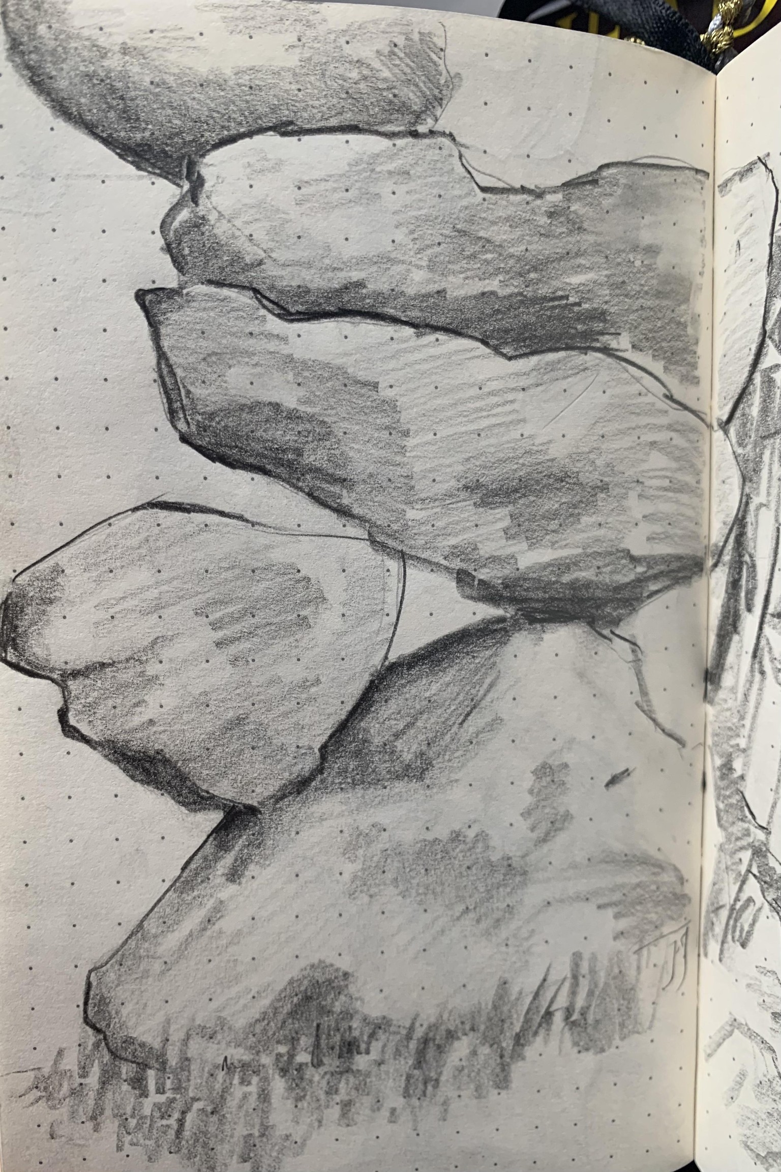 Trees & Rocks (study) - image 6 - student project