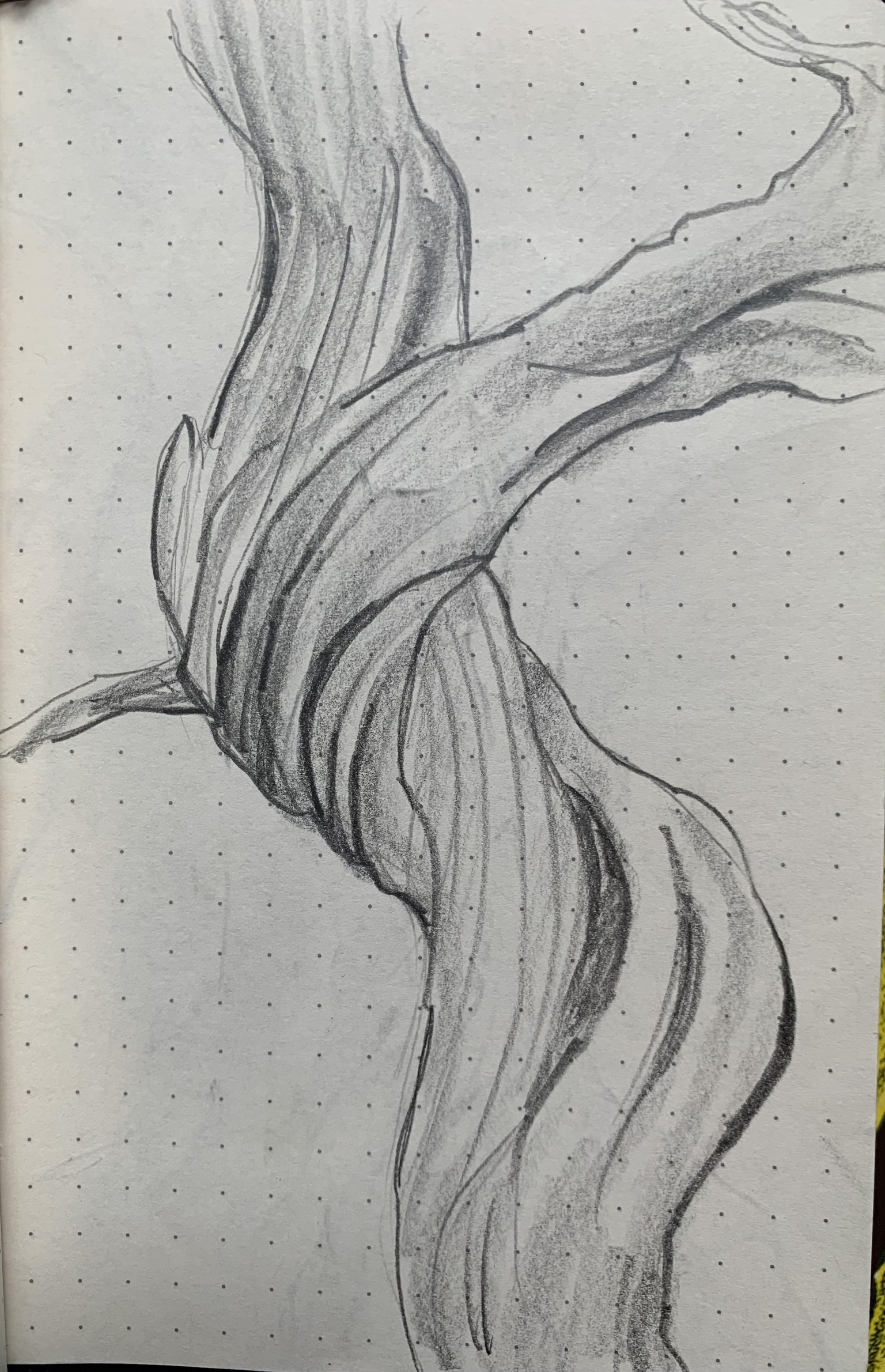 Trees & Rocks (study) - image 2 - student project