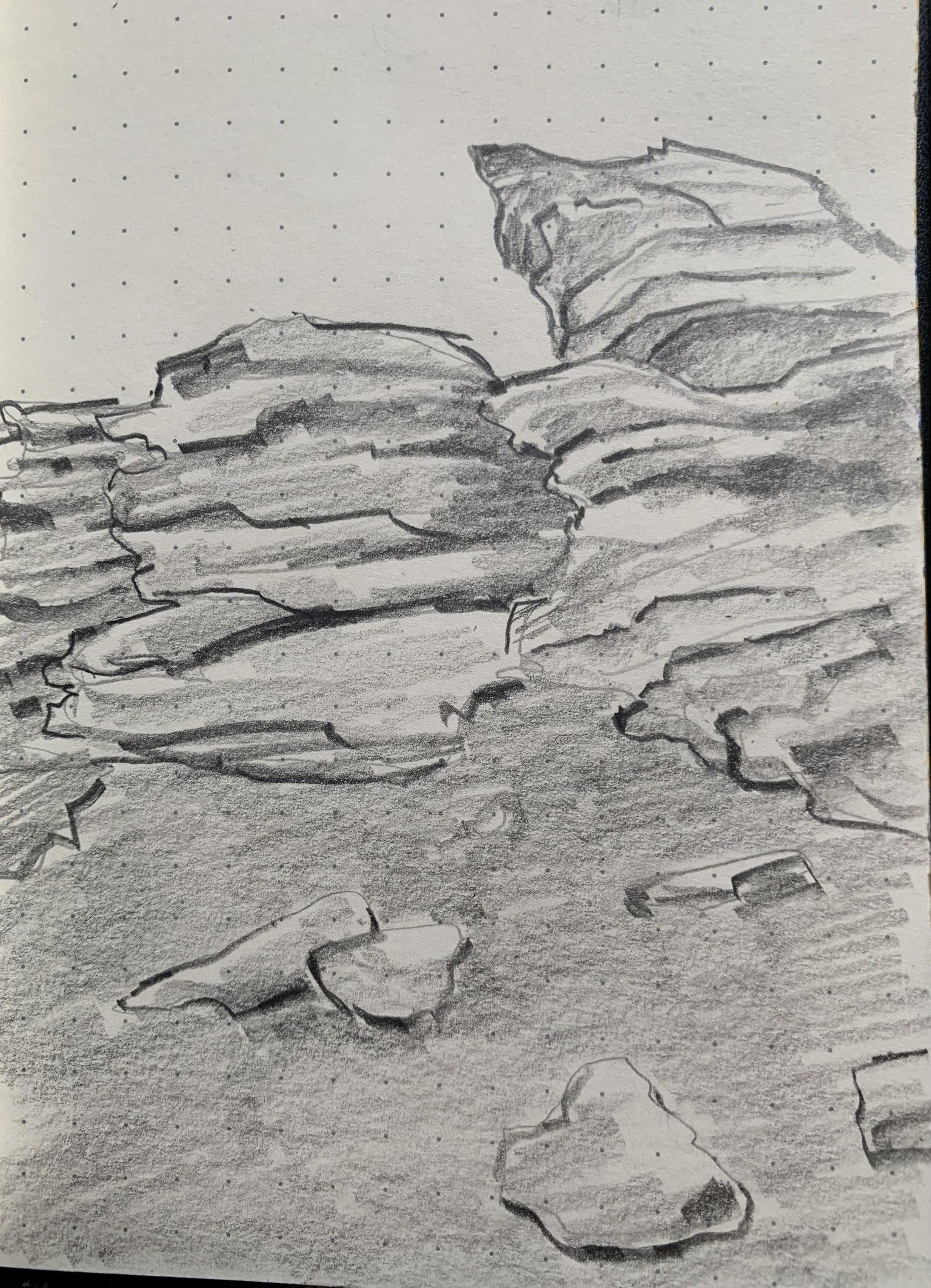 Trees & Rocks (study) - image 9 - student project