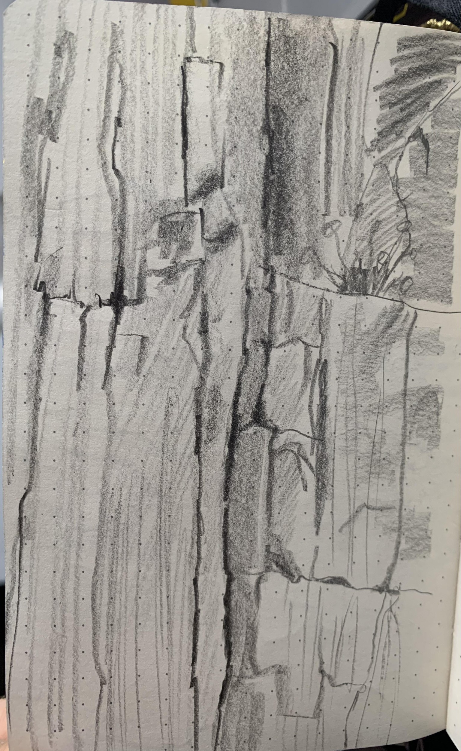 Trees & Rocks (study) - image 10 - student project