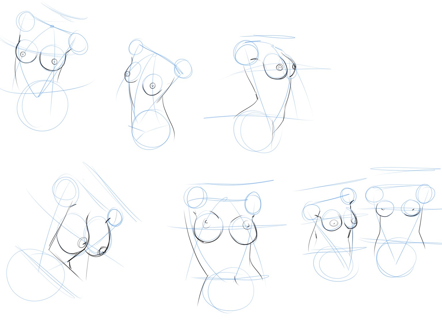 Why do I enjoy drawing chests so much? :D - image 1 - student project