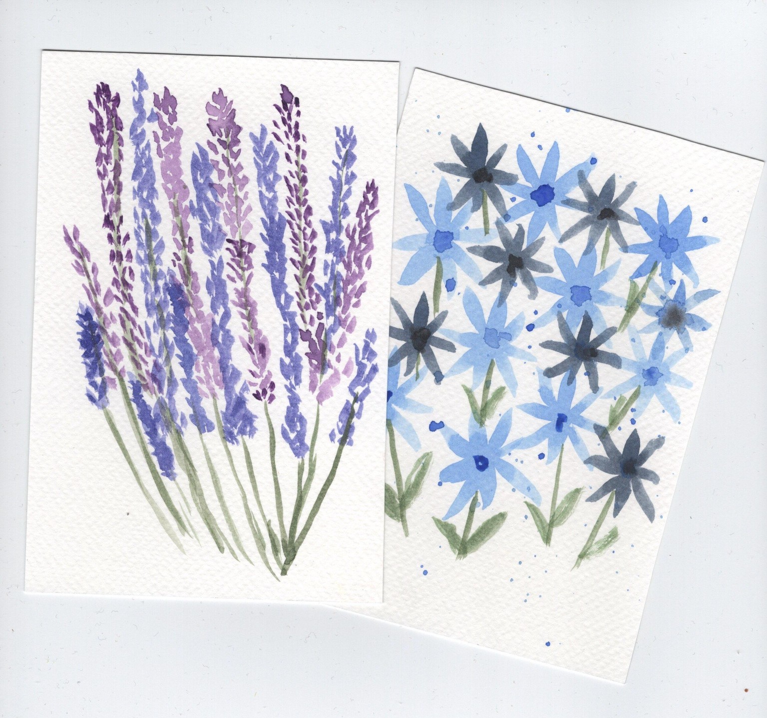 Floral portraits - image 1 - student project