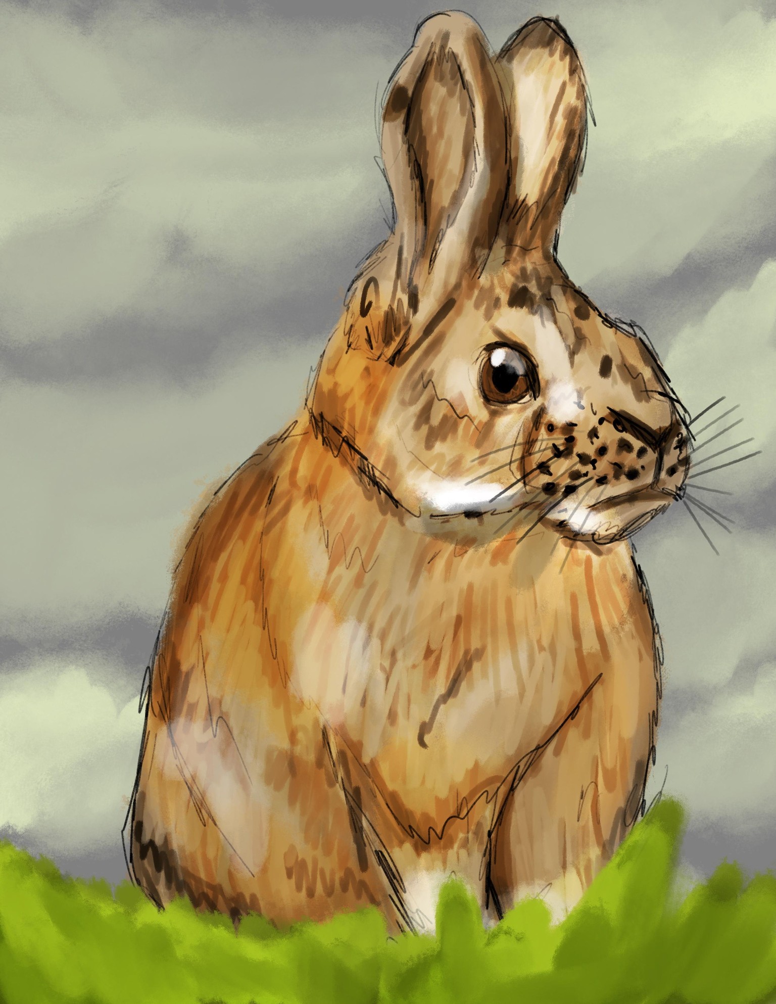 Digital sketchbook project - image 3 - student project