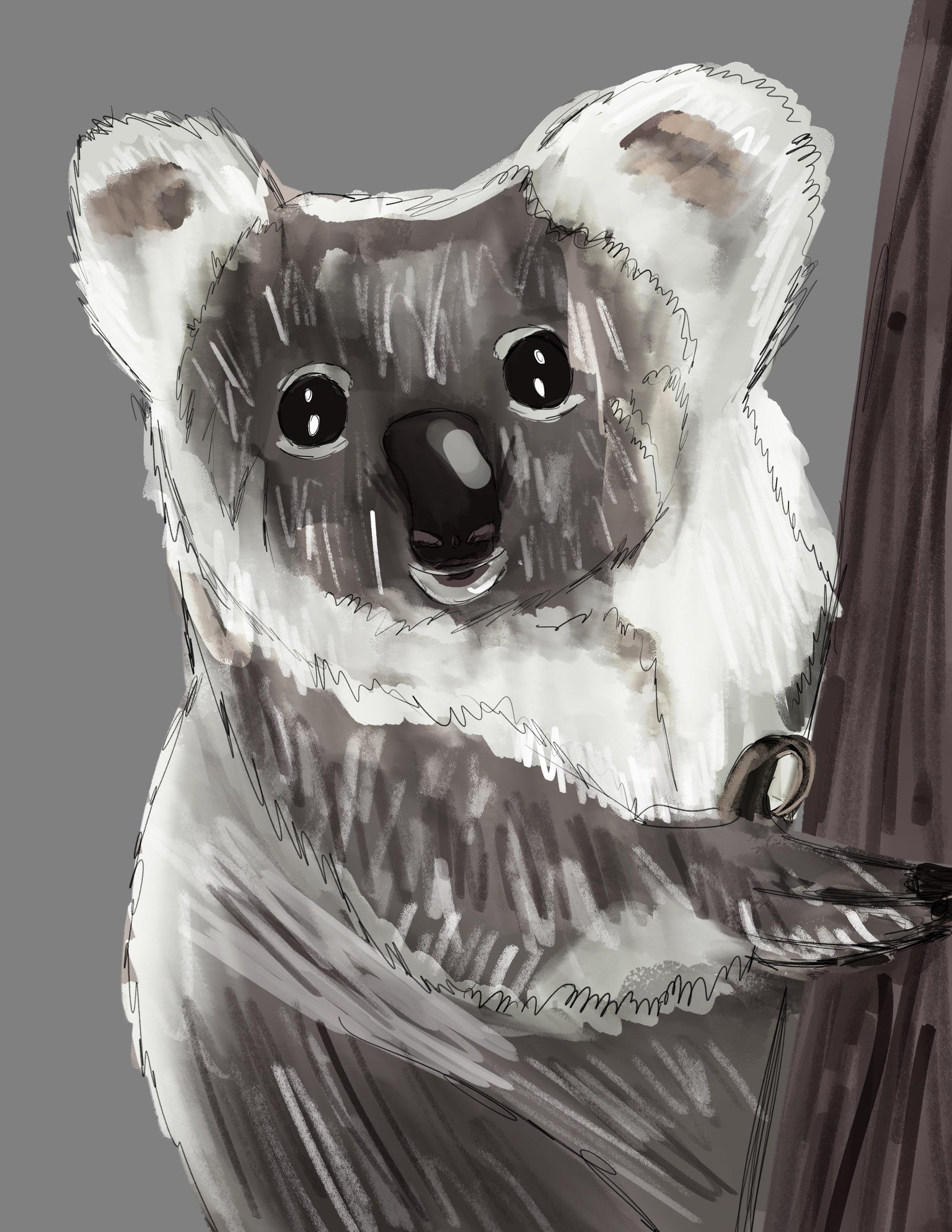 Digital sketchbook project - image 4 - student project