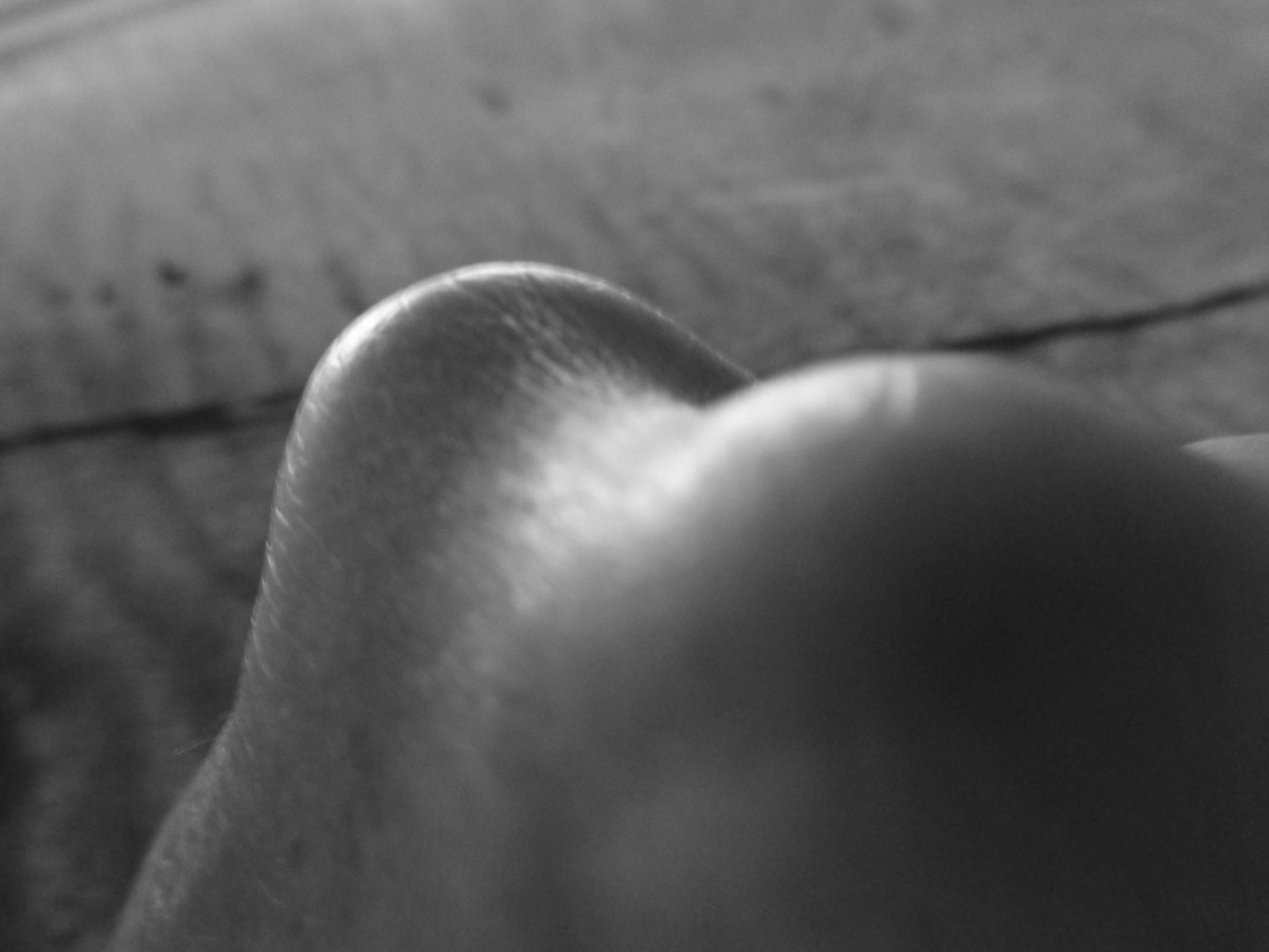 Check in & out- My last Picture - Bye Bye!!! - image 49 - student project