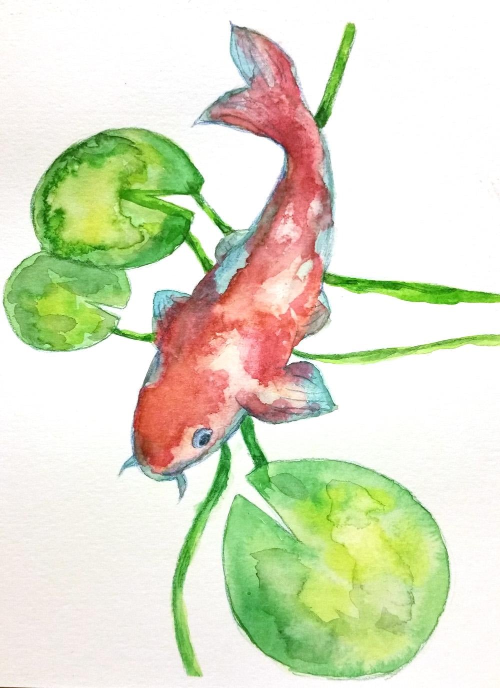 Watercolor to Procreate Koi Fish - image 2 - student project