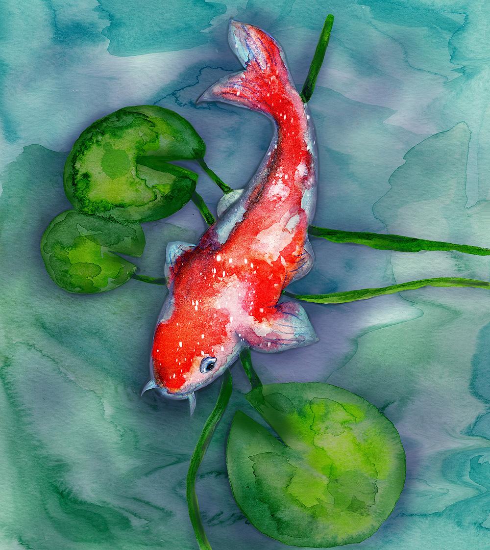 Watercolor to Procreate Koi Fish - image 1 - student project