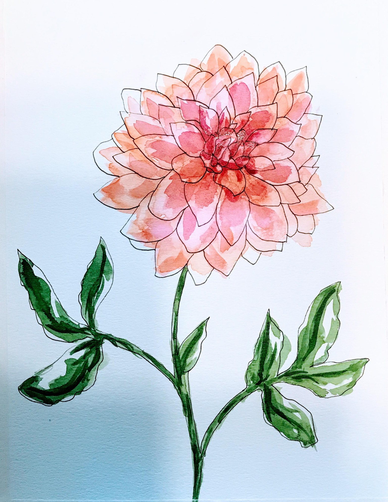 Ink and Watercolor - image 1 - student project
