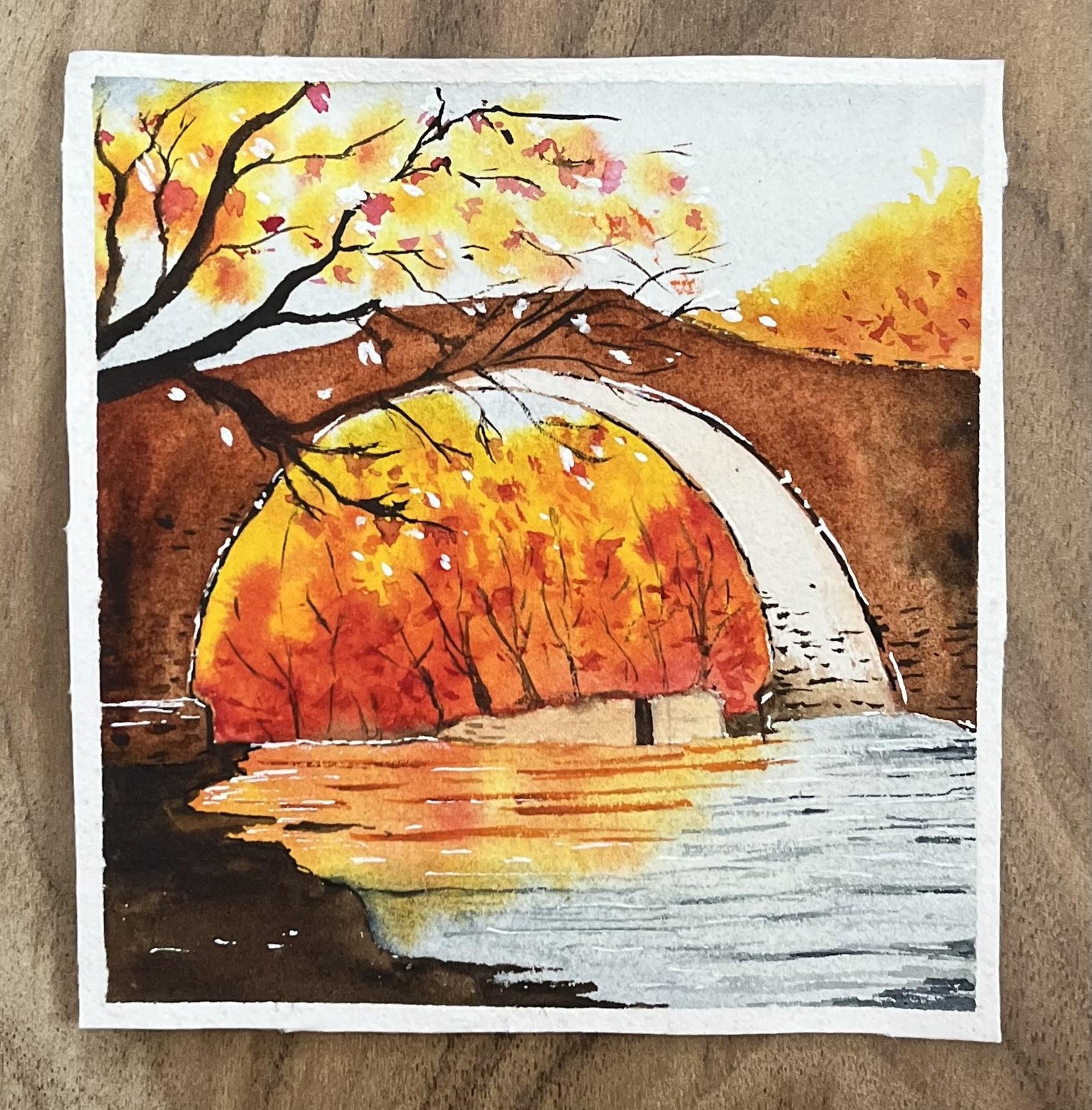 Colours of Autumn - image 4 - student project