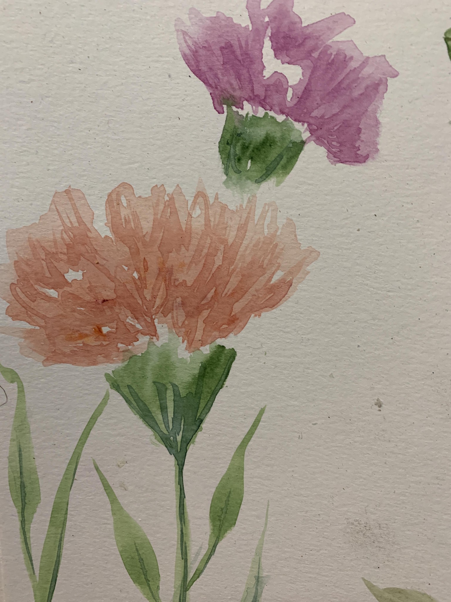 fall fun! - image 1 - student project