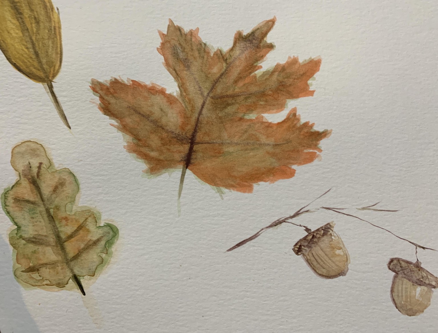 fall fun! - image 2 - student project