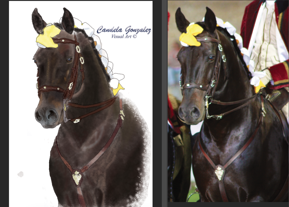 Lusitano Horse - image 1 - student project