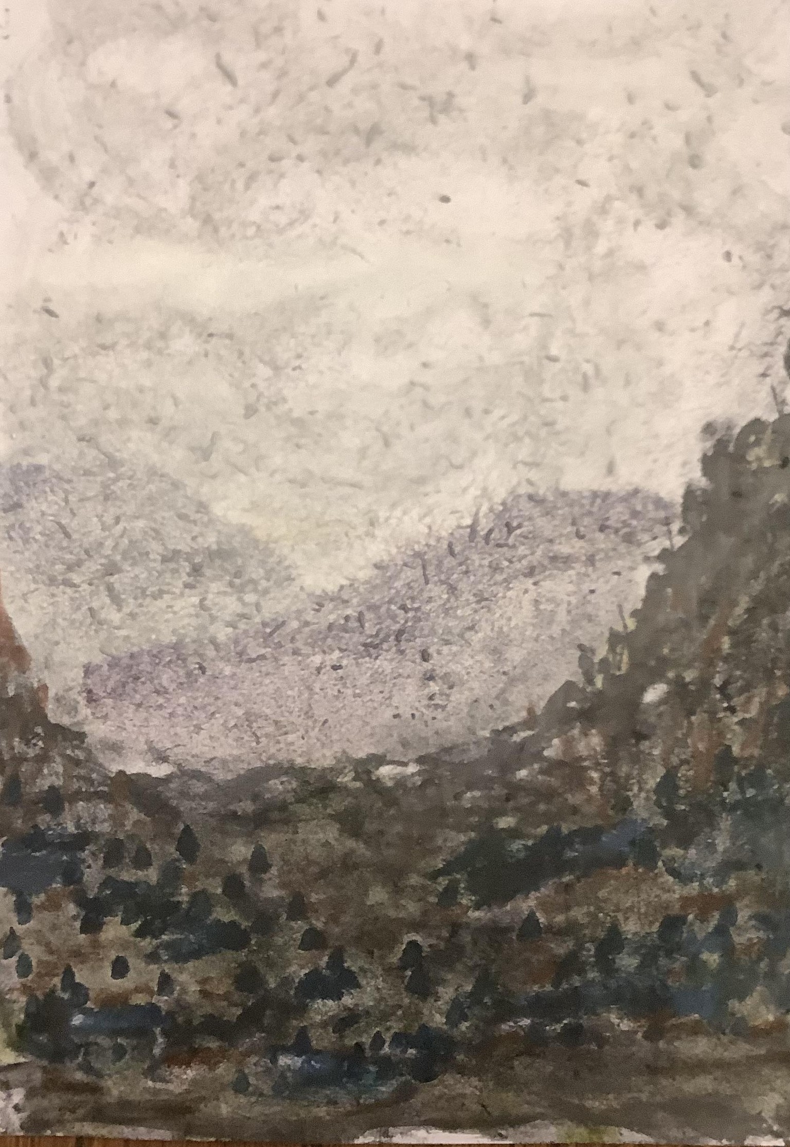 Floral fields - image 2 - student project