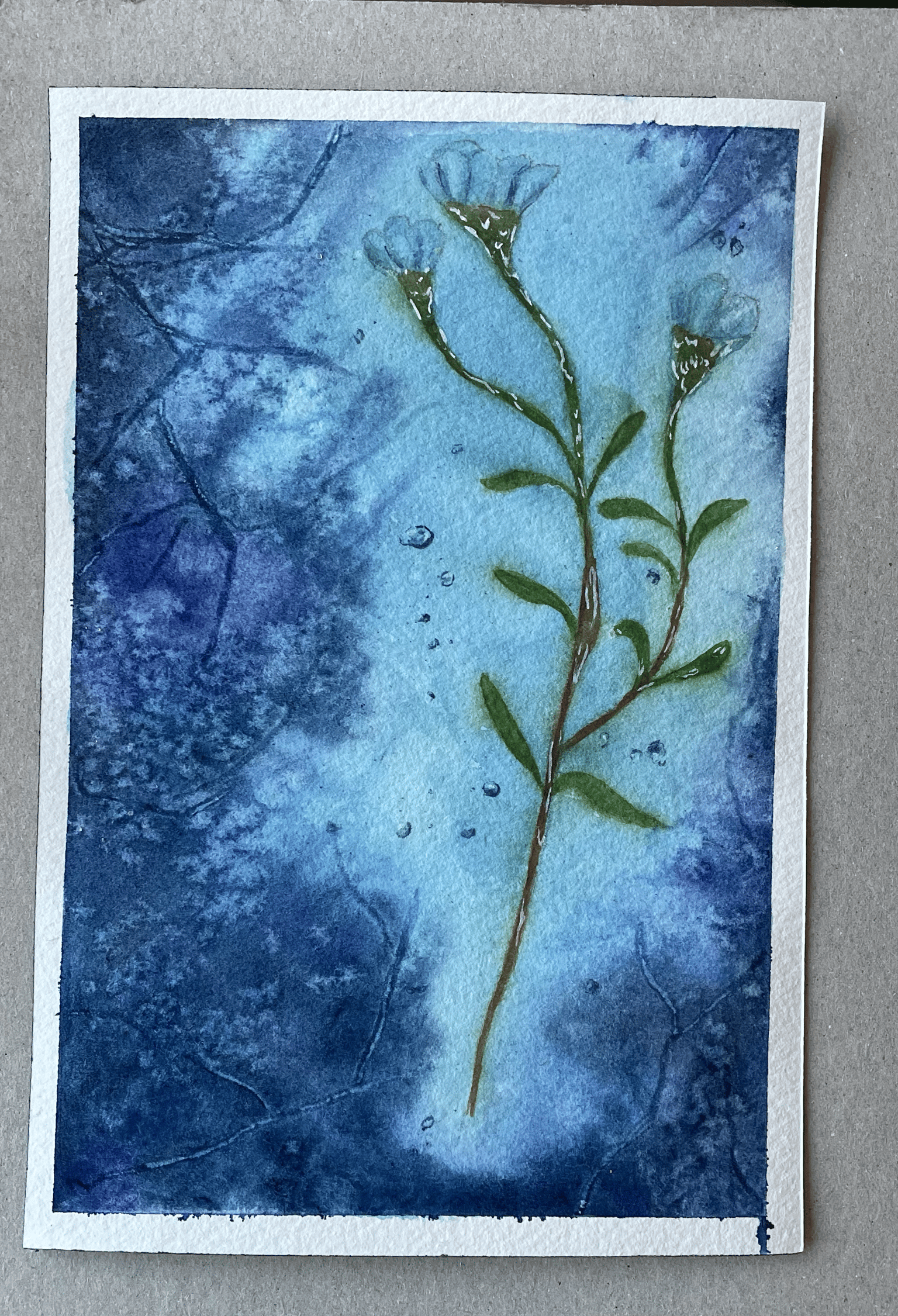 Transparency in Watercolors - image 1 - student project