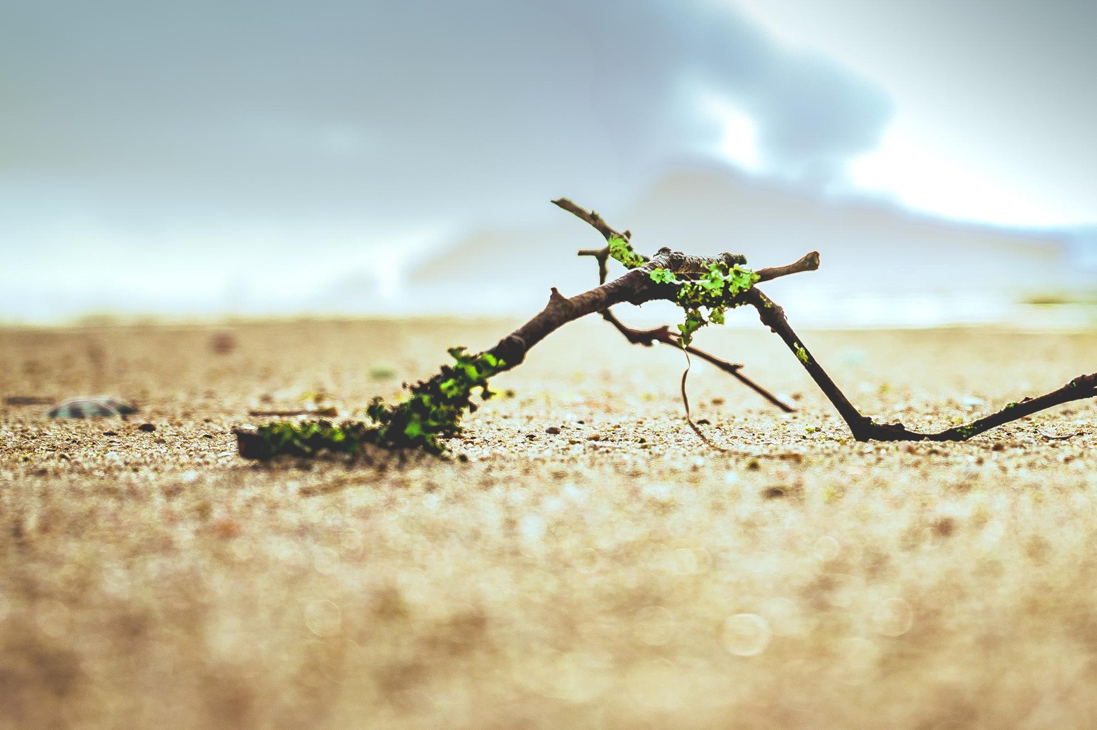 Beach view - image 2 - student project