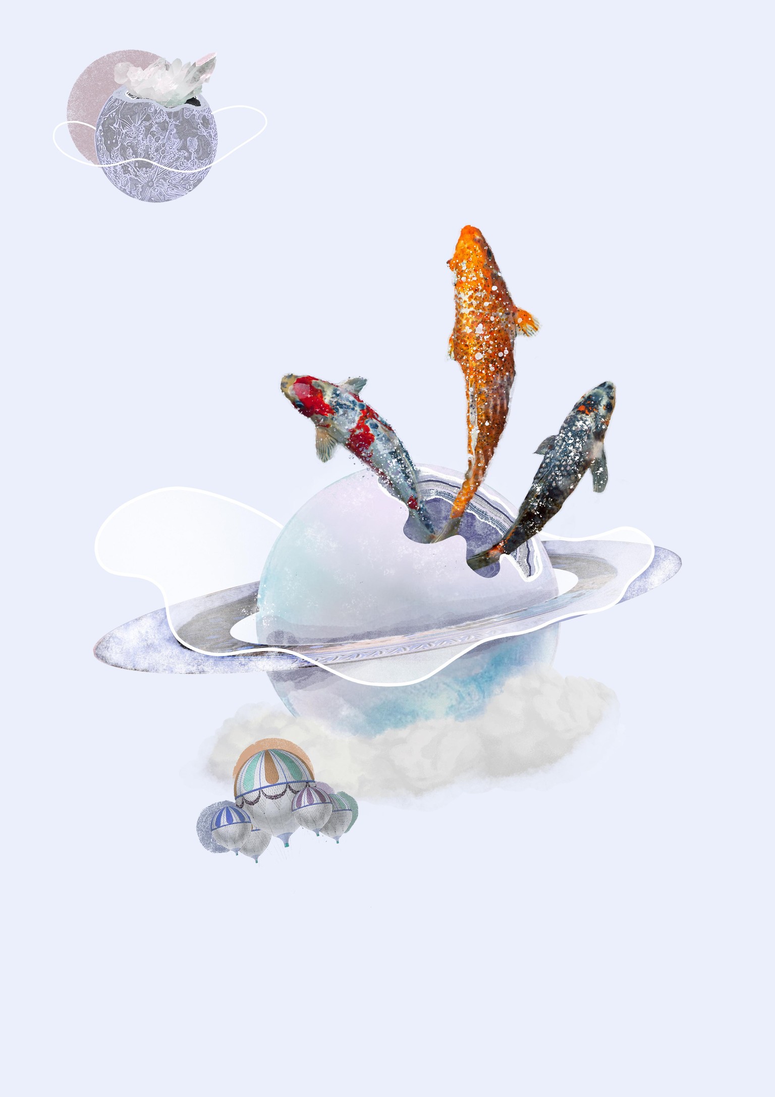 Fish - image 1 - student project