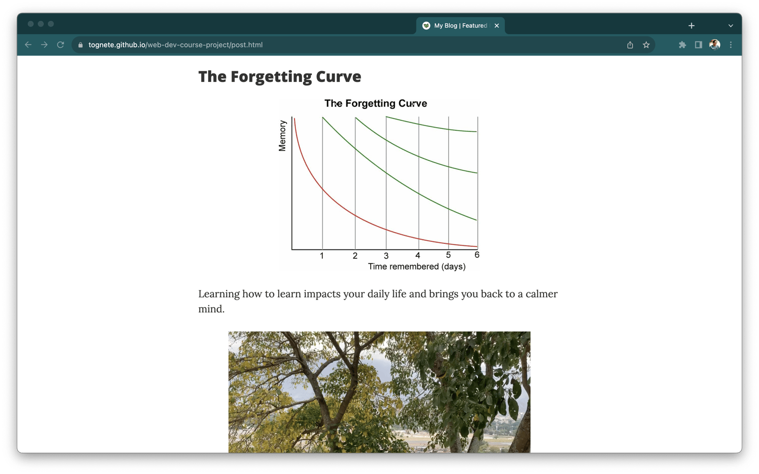 CSS: Accelerated Learning Blog - image 7 - student project